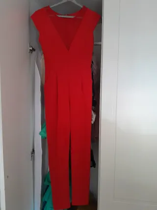 Mono rojo elegante