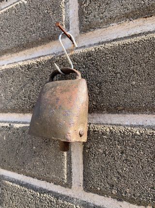 Campanaccio antico da collezione