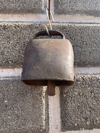 Campanaccio antico da collezione