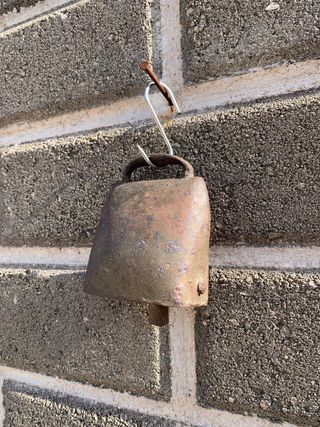 Campanaccio antico da collezione