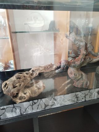 Acuario con mueble y detalles