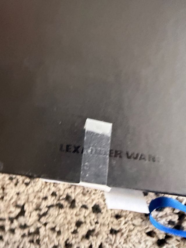 Botines Alexander Wang Hebillas Doradas