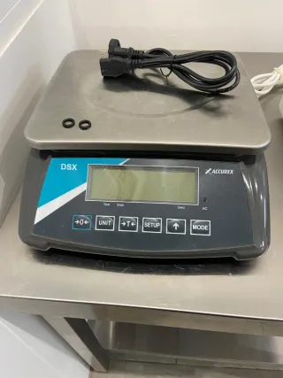 Balanza industrial DSX ACCUREX
