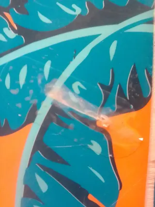 Tabla Surf Olaian 7'8 75L