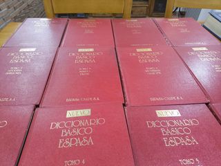 Diccionario Básico Espasa