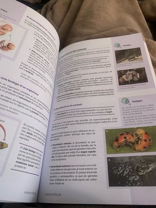 Biologia i Geologia 1 ESO