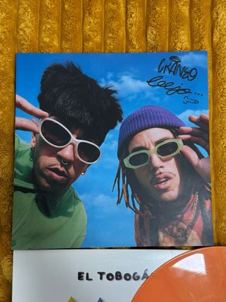 El Tobogan Vinilo de Bejo y Craneo