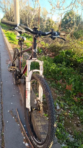 Bicicleta de Montaña