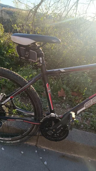 Bicicleta de Montaña