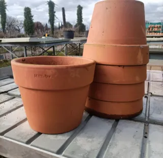 Set 5 Vasi Terracotta Diametro 16cm