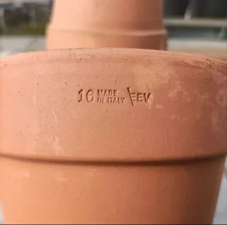 Set 5 Vasi Terracotta Diametro 16cm