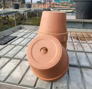 Set 5 Vasi Terracotta Diametro 16cm