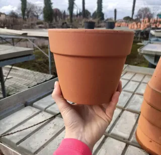 Set 5 Vasi Terracotta Diametro 16cm