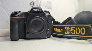 NIKON D500 + SIGMA 150-600 SPORTS (ver perfil)
