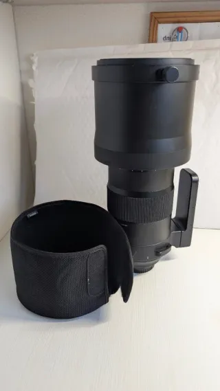 NIKON D500 + SIGMA 150-600 SPORTS (ver perfil)