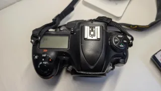 NIKON D500 + SIGMA 150-600 SPORTS (ver perfil)