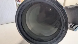 NIKON D500 + SIGMA 150-600 SPORTS (ver perfil)