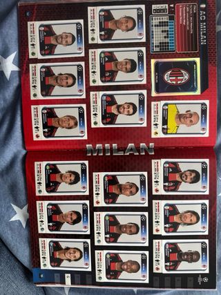 Álbum Champions League 2010-2011- completado 100%