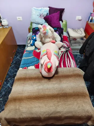 Cama con cama supletoria