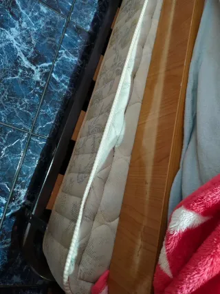 Cama con cama supletoria