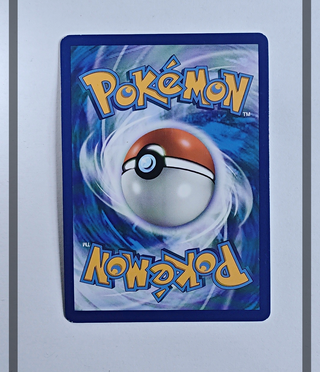 Noivern Gx 99/147 BUS Pokemon ENG-NM