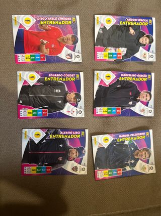 Lote 6 entrenadores temporada21/22