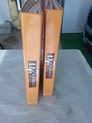 Colección de coches Citroen 2cv6