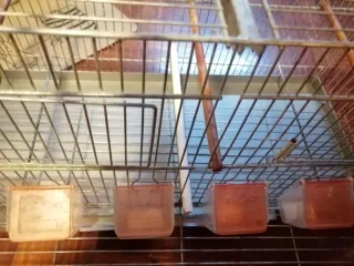 Jaula de cría pajaros metal