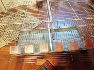 Jaula de cría pajaros metal