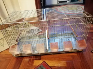 Jaula de cría pajaros metal