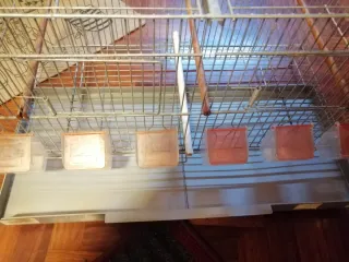 Jaula de cría pajaros metal