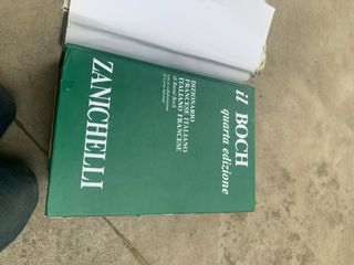 Il Boch: Dizionario Francese-Italiano Italiano-...