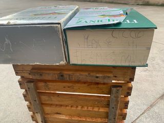 Il Boch: Dizionario Francese-Italiano Italiano-...