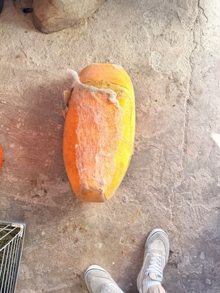 Sillon mono plaza esponja en buen estado