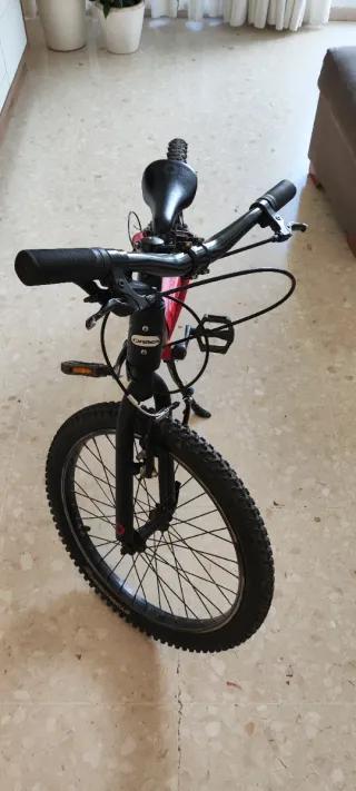 Bicicleta niño Orbea Grow 2