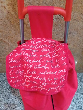 Carro de la compra rojo