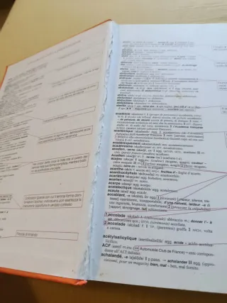 DIF Hachette Paravia. Dizionario francese-itali...