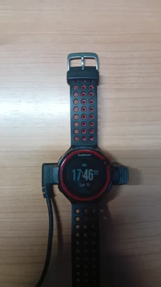 Garmin Forerunner 220 GPS