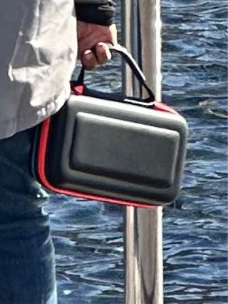 Nintendo switch Oled Perdida