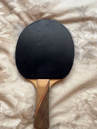 Raqueta ping pong
