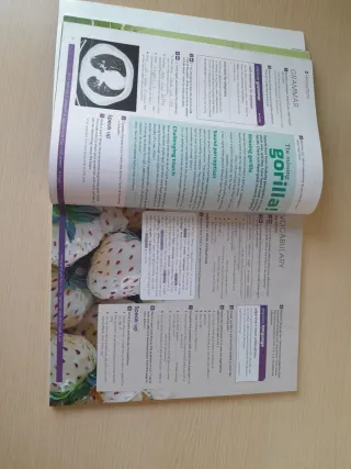 Gold Experience 2ed B2+ Student's Book & Intera...