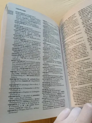 DIT Paravia il dizionario tedesco/italiano, ita...