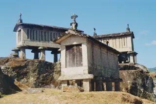 Canon Ae1 com Lente 50mm