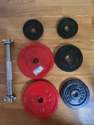 Barra en Z para curl de bíceps, discos pesas