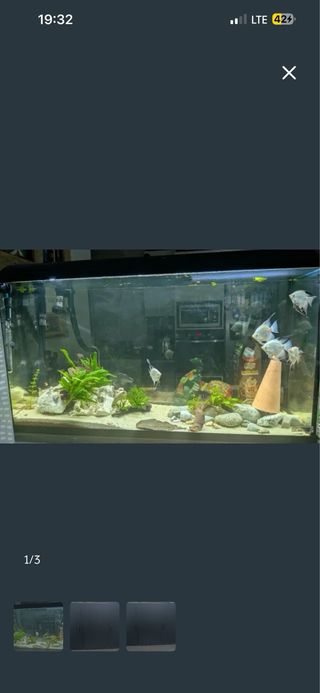 Acuario 300 litros
