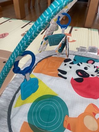 Gimnasio actividades musical bebé de Baby Einstein