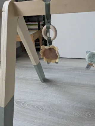 Gimnasio bebe Little dutch