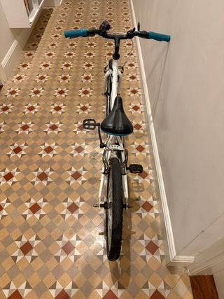 Bicicleta niños 20 pulgadas. BTWIN ORIGINAL 100