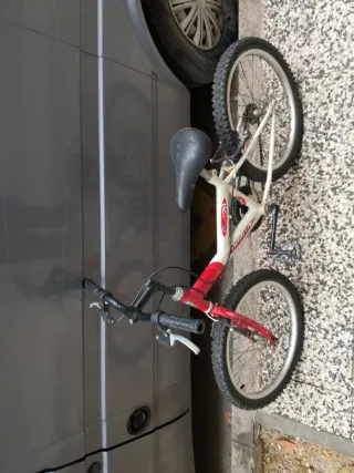 Bicicleta infantil Orbit 20