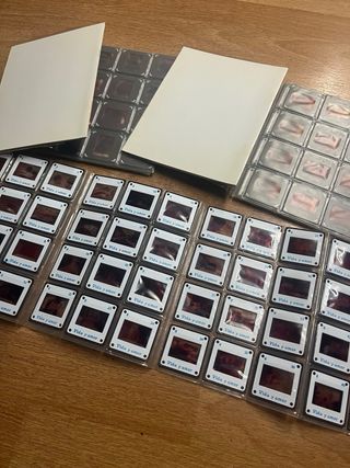 Lote Diapositivas Vintage "Vida y Amor"